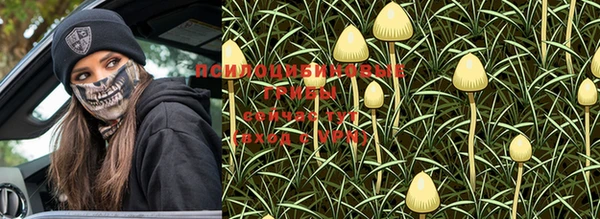 прущая мука Покров