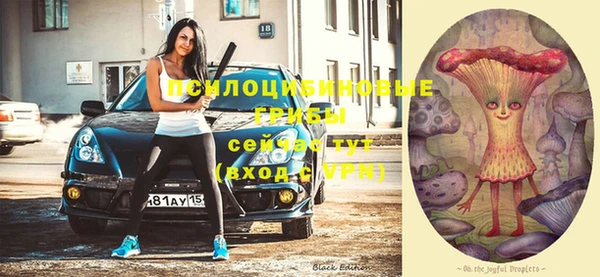 прущая мука Покачи